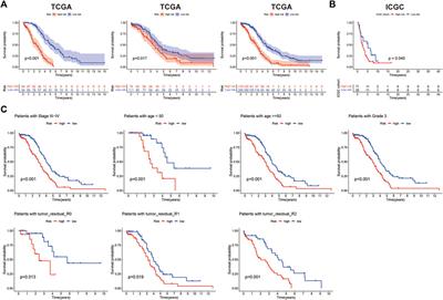 Construction and validation of a histone acetylation-related lncRNA prognosis signature for ovarian cancer